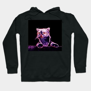 Curious Cat Neon Styled Hoodie